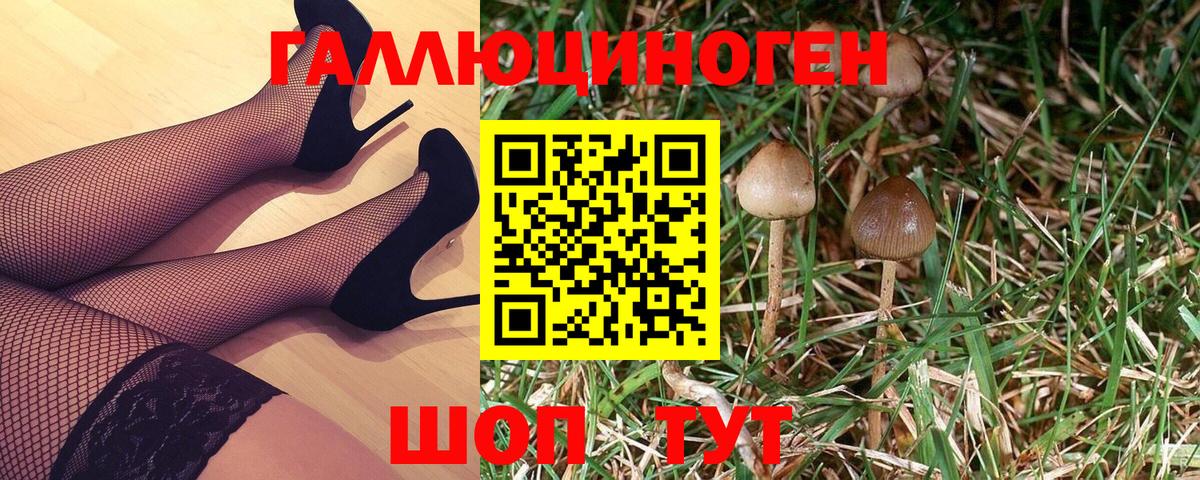 Галлюциногенные грибы мухоморы Бахчисарай