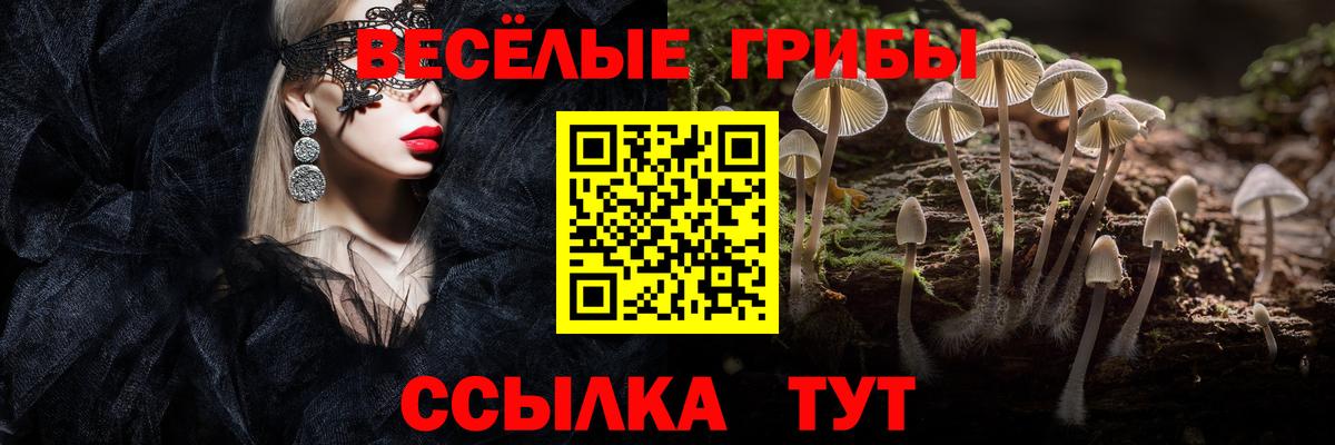 Псилоцибиновые грибы прущие грибы  Вход с VPN  Бахчисарай 